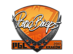 ステッカー | pashaBiceps | Krakow 2017