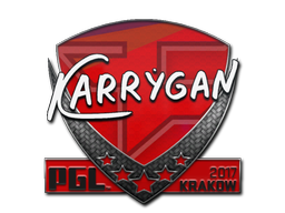 Наклейка | karrigan | Краков 2017