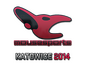 Sticker | mousesports | Katowice 2014