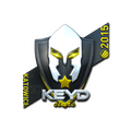 Sticker | Keyd Stars (Foil) | Katowice 2015 image 120x120