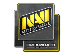 Aufkleber | Natus Vincere | DreamHack 2014