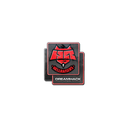 Sticker | HellRaisers | DreamHack 2014