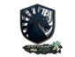 Sticker | Team Liquid | Antwerp 2022