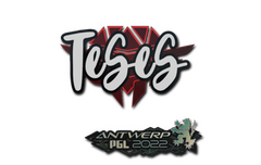 Sticker | TeSeS | Antwerp 2022