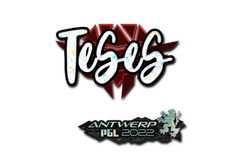 Sticker | TeSeS (Glitter) | Antwerp 2022