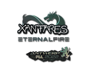 XANTARES | Antwerp 2022