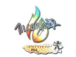 印花 | nicoodoz（全息） | 2022年安特卫普锦标赛