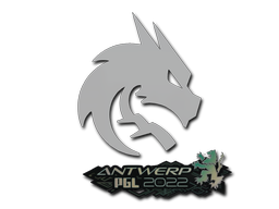 Sticker | Team Spirit | Antwerp 2022