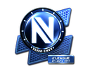 Sticker | Team EnVyUs