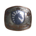 Sticker | Team Liquid (Foil) | Austin 2025 image 120x120