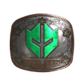 Sticker | Imperial Esports (Foil) | Austin 2025 image 120x120