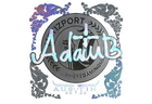 Sticker | adamb (Holo) | Austin 2025