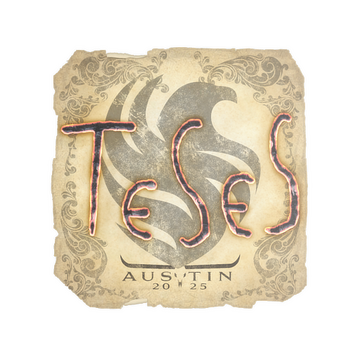 Sticker | TeSeS | Austin 2025 image 360x360