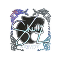 Sticker | skullz (Holo) | Austin 2025 image 120x120