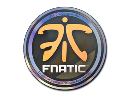 Matrica | Fnatic (hologramos) | Cologne 2014