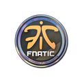 Sticker | Fnatic (Holo) | Cologne 2014 image 120x120