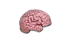 Sticker | CS On The Mind