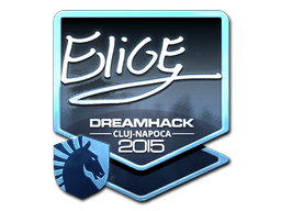 Adesivo | EliGE (Brilhante) | Cluj-Napoca 2015