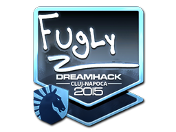 Klistermärke | FugLy (Foil) | Cluj-Napoca 2015