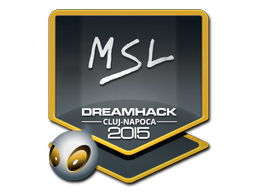 印花 | MSL | 2015年卢日-纳波卡锦标赛