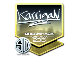 印花 | karrigan（闪亮）| 2015年克卢日-纳波卡锦标赛