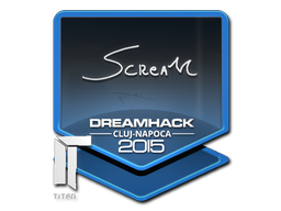 Наклейка | ScreaM | Клуж-Напока-2015