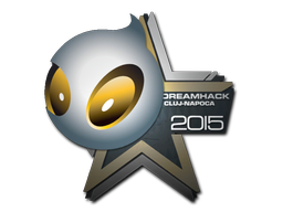 印花 | Team Dignitas | 2015年克卢日-纳波卡锦标赛