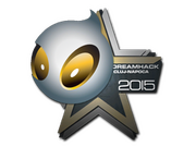 Team Dignitas | Cluj-Napoca 2015