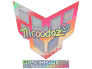 nicoodoz  | Copenhagen 2024