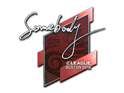 ステッカー | somebody | Boston 2018