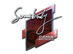 Abțibild | somebody (Înfoliat) | Boston 2018