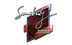 Sticker | somebody (Foil) | Boston 2018