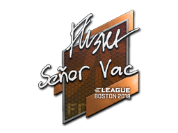 Klistermärke | flusha | Boston 2018