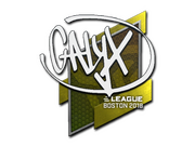 Calyx | Boston 2018