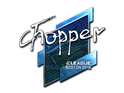 Sticker | chopper  | Boston 2018