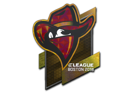 Sticker | Renegades  | Boston 2018