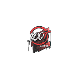 Sealed Graffiti | 100 Thieves | Boston 2018