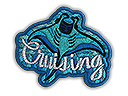 Patch | Cruising Ray