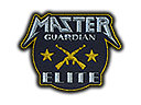 Patch | Metal Master Guardian Elite