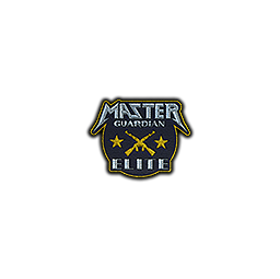 Patch | Metal Master Guardian Elite