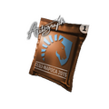 Autograph Capsule | Team Liquid | Cluj-Napoca 2015 image