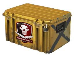 Image for the Falchion Case in Counter Strike 2