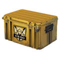 Huntsman Weapon Case image 120x120