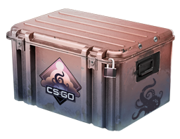 case_icon