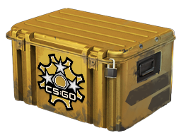 Revolver Case