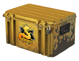 Image of the Operation Wildfire Case from Counter Strike 2