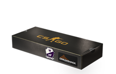 DreamHack 2014 Cobblestone Package