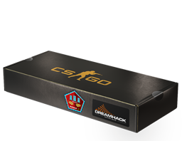 DreamHack 2014 Mirage Souvenirpaket