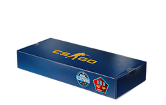 ESL One Cologne 2014 Mirage Package