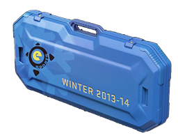 Image for the eSports 2013 Winter Case in Counter Strike 2